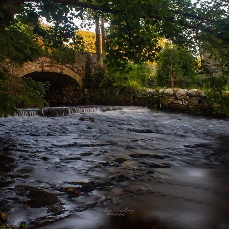 Talybont Bed And Breakfast Barmouth Luaran gambar