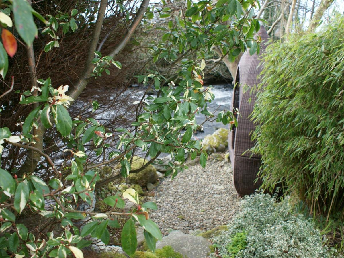 Talybont Bed And Breakfast Barmouth Luaran gambar